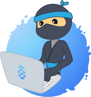 laptop-ninja-img